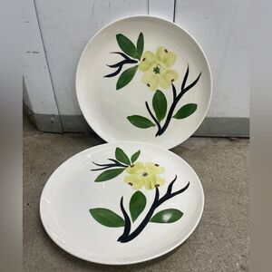 Set of 2 Dinner Plates